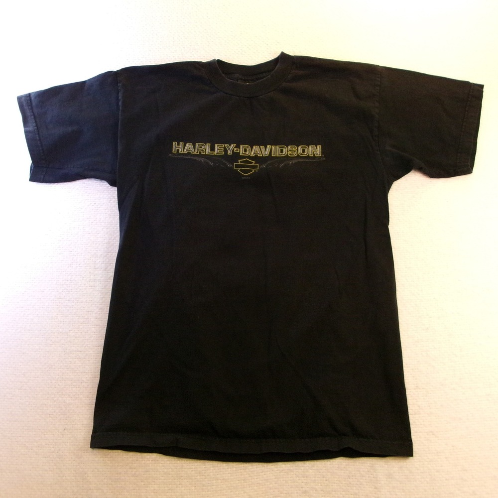 Harley-Davidson Mens L T-Shirt Black Roanoke Valley VA Train Graphic 2004